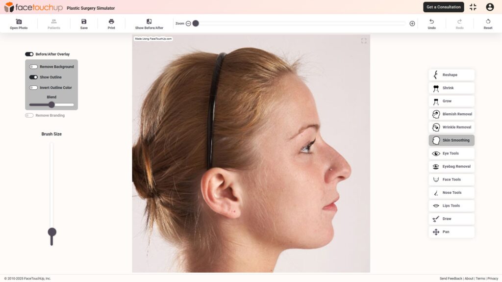 FaceTouchUp Website Image on Melbourne ent